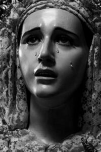 MG_3288-Editar-2-233×350.jpg